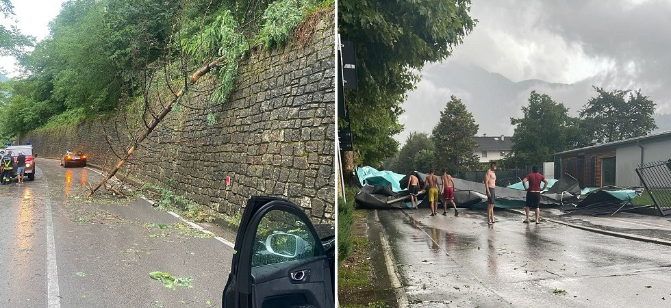 Maltempo, crolla un albero e due auto si tamponano